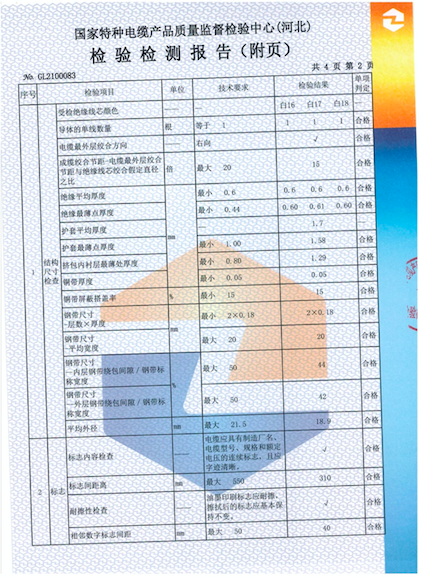檢測報告